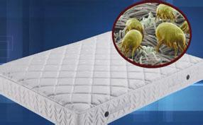 广州海珠新滘床垫清洗除螨，室内除螨消毒，除螨虫公司