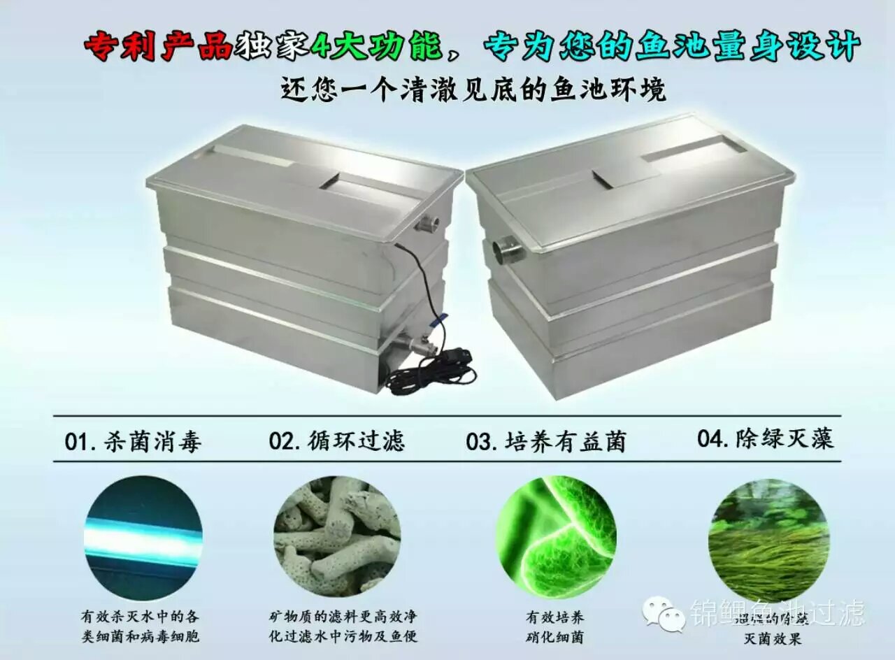 深圳私家魚池過濾凈化系統