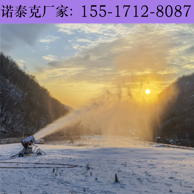 制雪机设备移动式大面积造雪作业 自动雾炮式造雪机