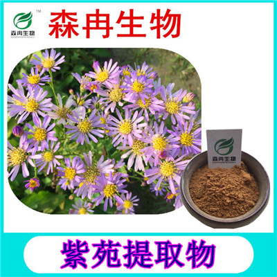 森冉生物 紫苑提取物 紫菀提取物 植物提取原料粉