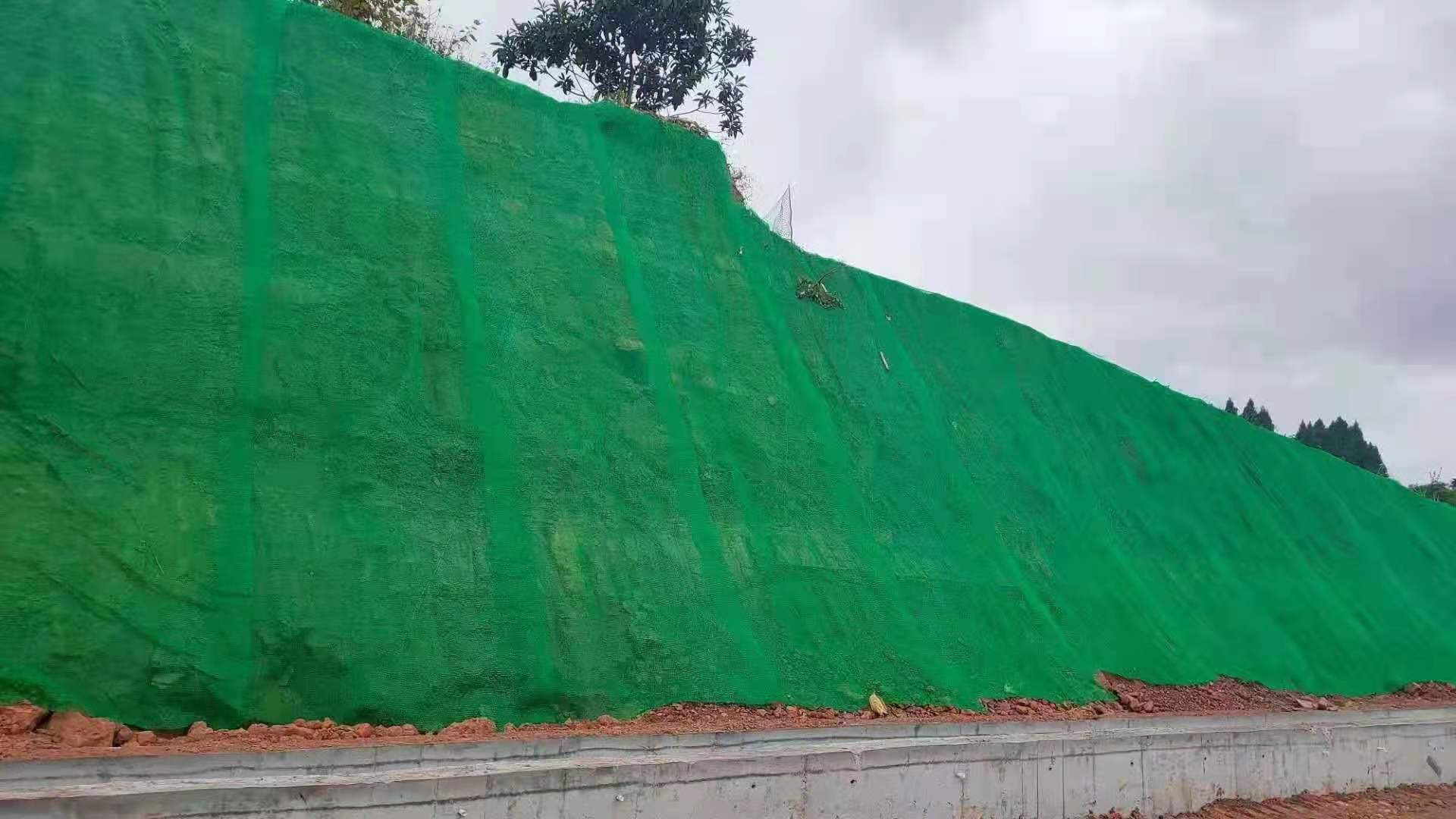 杭州园林护坡固土用三维植被网 规格齐全