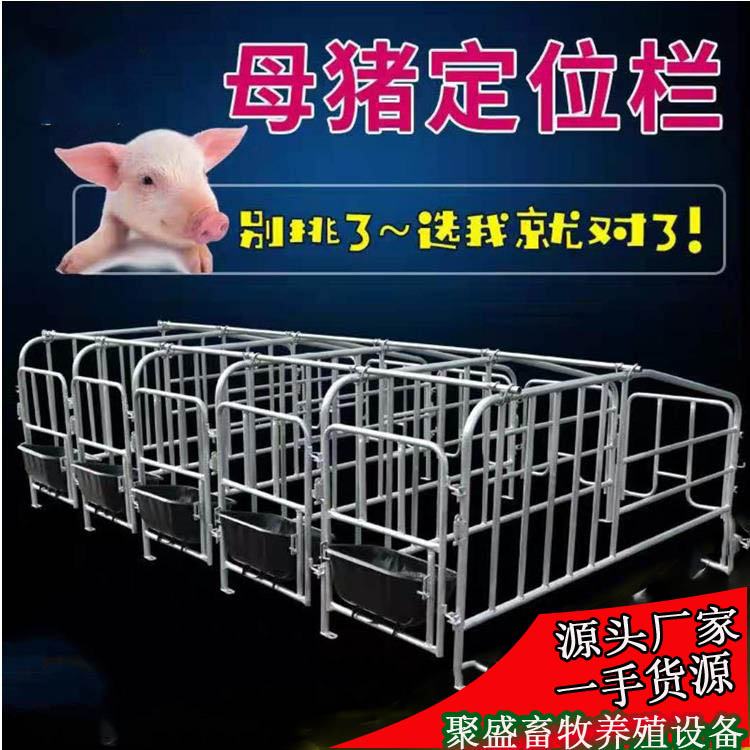 母猪限位栏落地限位栏猪位70养猪设备厂家出售