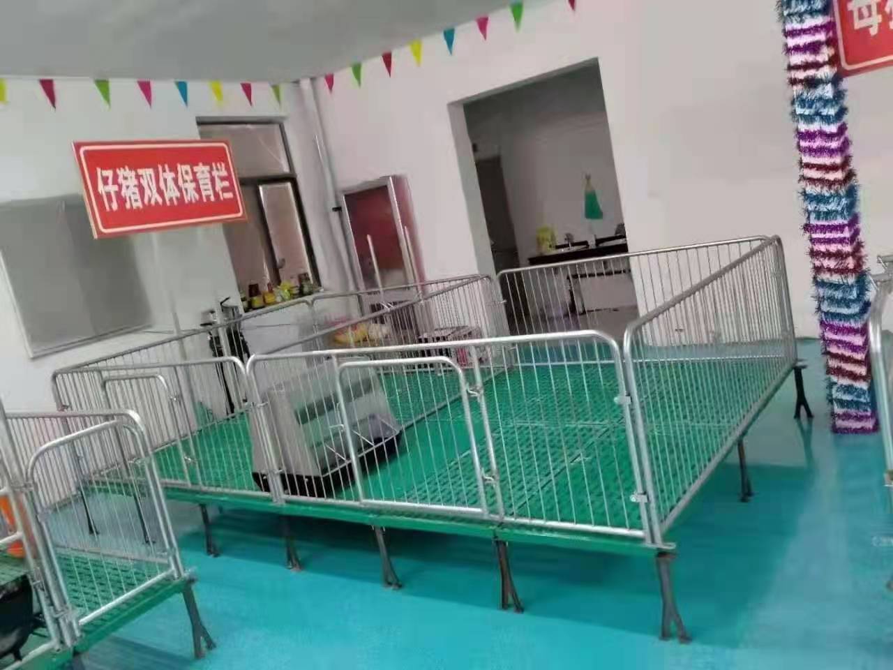 仔猪保育床复合保育床养猪设备厂家出售