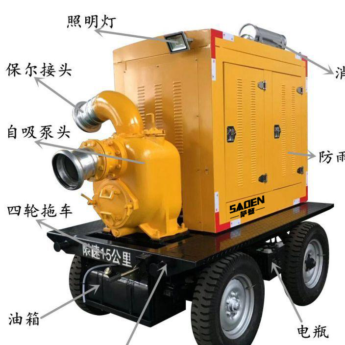 萨登12寸高扬程排污泵移动泵车怎么买