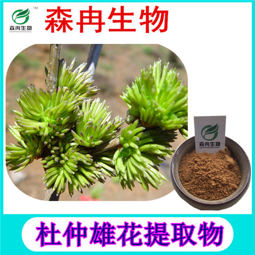 森冉生物 杜仲雄花提取物 杜仲雄花粉 植物提取原料粉