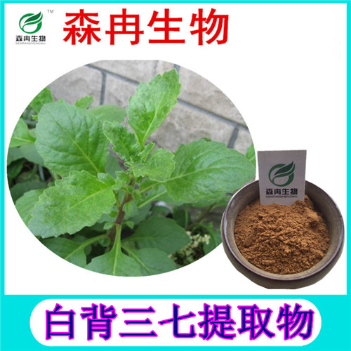 森冉生物 白背三七提取物 白子菜提取物 植物提取原料粉