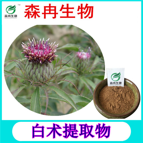 森冉生物 白术提取物 于术提取物 植物提取原料粉