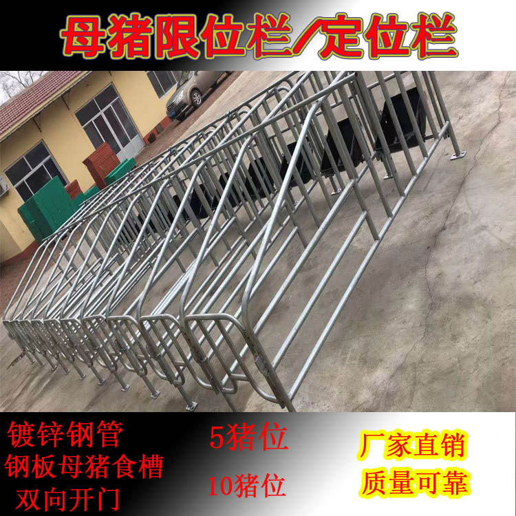 母猪限位栏落地限位栏养猪设备型号齐全