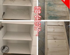 广州海珠江南中除霉公司，清除发霉，家庭除霉杀菌