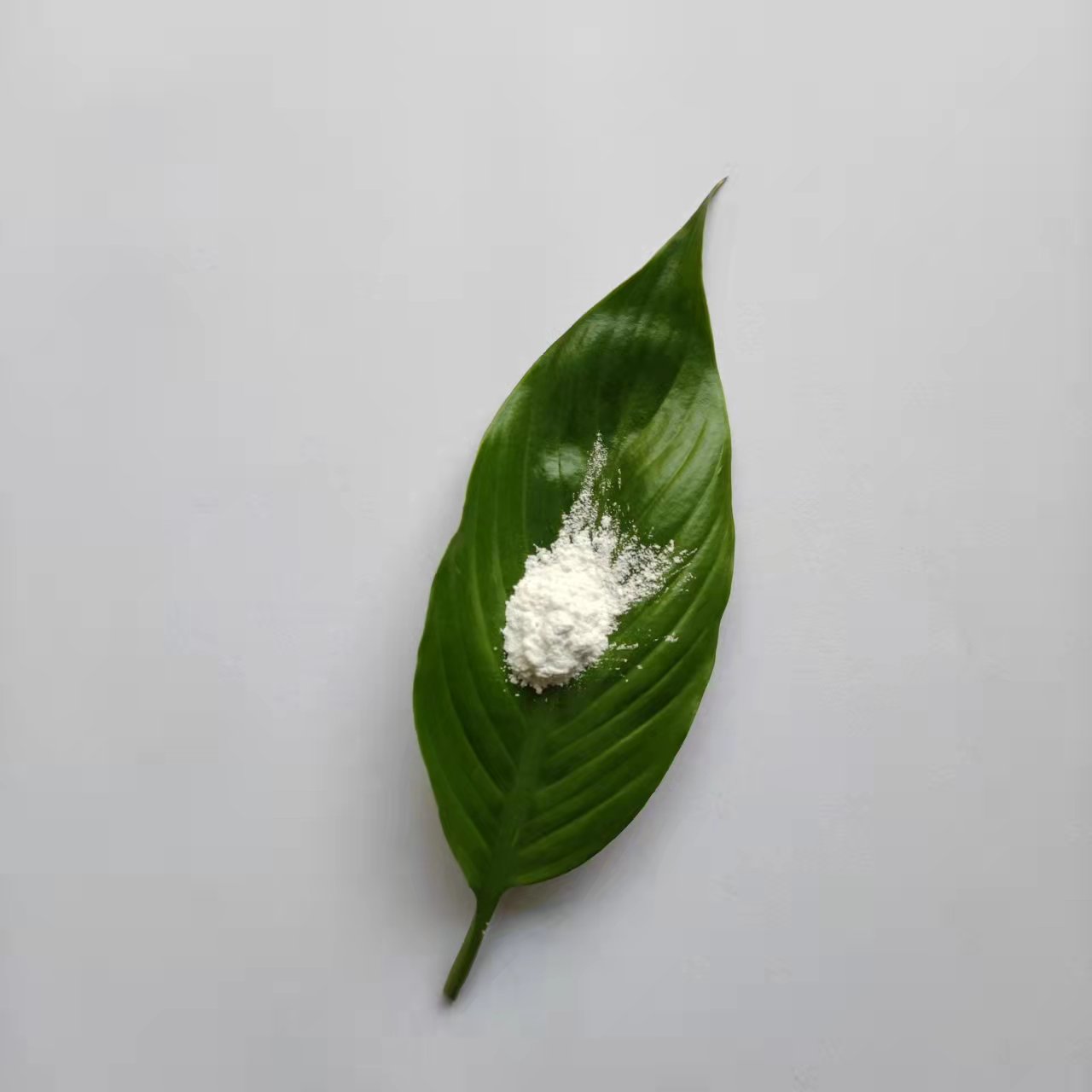 九朋高纯度30nm钇稳定二氧化锆粉体CY-R30Y5