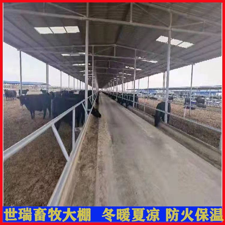 新型牛棚安装 肉牛养殖大棚搭建 牛舍大棚建造