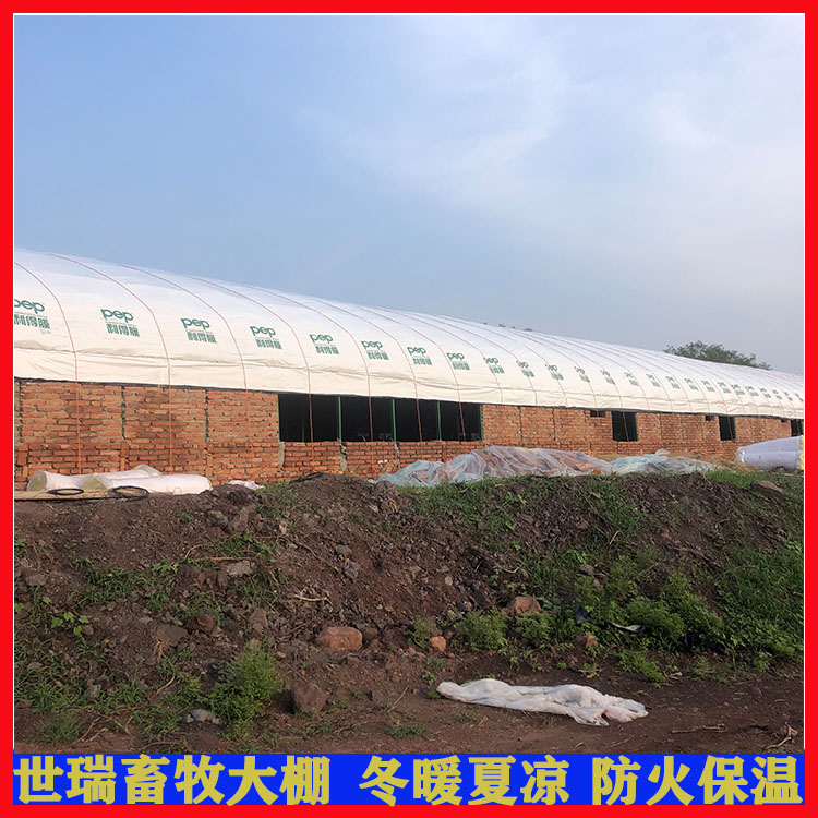 养鸡大棚怎样建设 肉鸡养殖大棚搭建 鸡舍大棚安装价格