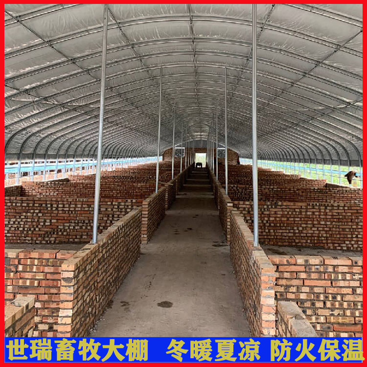 宁津县世瑞畜牧设备有限公司 建设养猪大棚