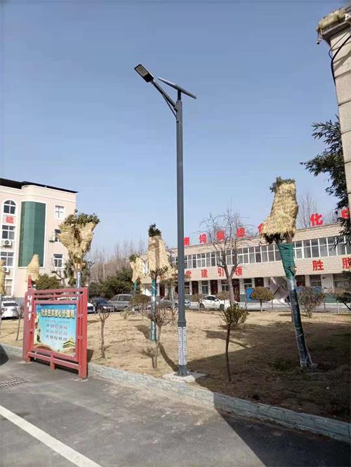 河南焦作5米50瓦金豆太阳能灯厂家