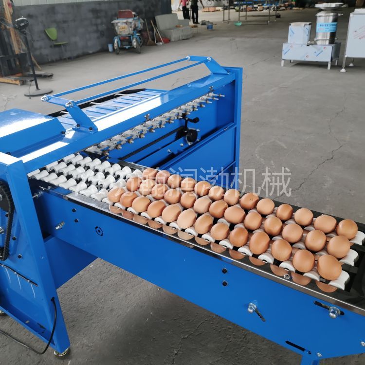 翰润渤FJJ-5型鸡蛋分级机 蛋品重量分选机 蛋品分拣加工设备