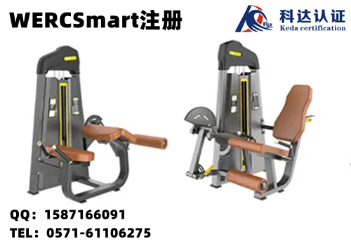 出口蝴蝶机做WERCSmart注册用法语和英语双语SDS报告