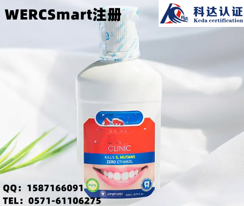 电池产品WERCSmart注册用法语和英语双语SDS报告