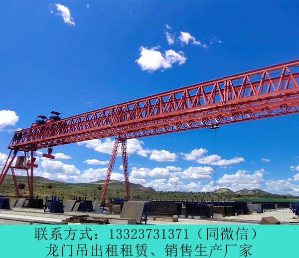 河南鹤壁龙门吊租赁厂家销售20米5吨龙门吊