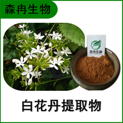 森冉生物 白花丹提取物 假茉莉提取物 全水溶原料粉