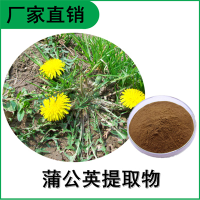 森冉生物 蒲公英提取物 黄花地丁提取物 多种规格