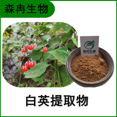 森冉生物 白英提取物 白毛藤提取物 植物提取原料粉