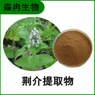 森冉生物 荆介提取物 线芥提取物 植物提取原料粉