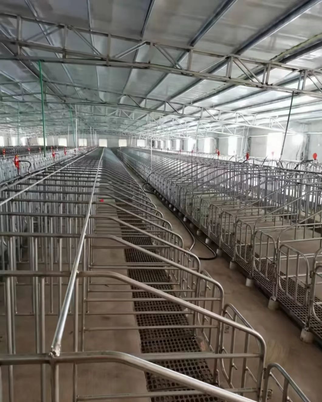 养殖场母猪限位栏落地式整体大架热镀锌管材焊接十个猪位一套