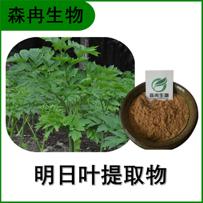 森冉生物 明日叶提取物 明日草提取物 植物提取原料粉