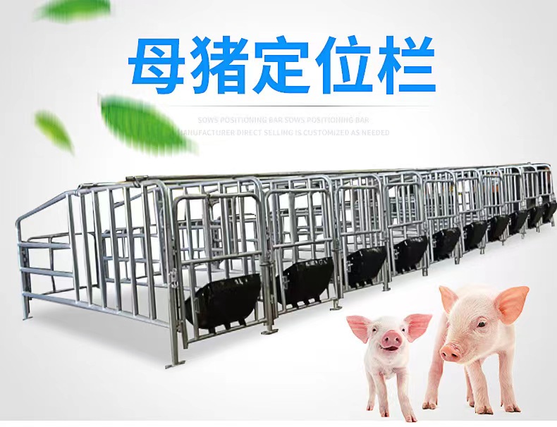 养猪场母猪限位栏和限位栏的好处