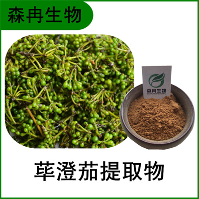 森冉生物 荜澄茄提取物 木姜子提取物 比例提取原料粉