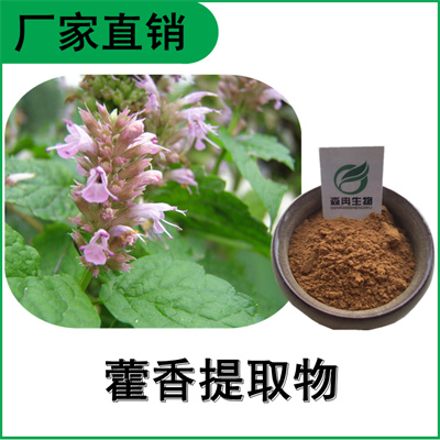 森冉生物 藿香提取物 大叶薄荷提取物 比例提取原料粉