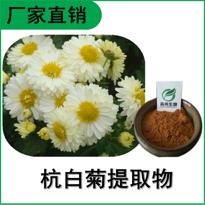 森冉生物 杭白菊提取物 小白菊提取物 多种规格