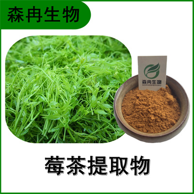 森冉生物 莓茶提取物 显齿蛇葡萄叶提取物 二氢杨梅素