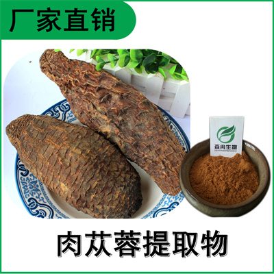 森冉生物 肉苁蓉提取物 大芸提取物 植物提取原料粉