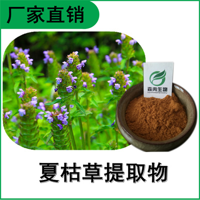 森冉生物 夏枯草提取物 夏枯草浓缩粉 植物提取原料粉