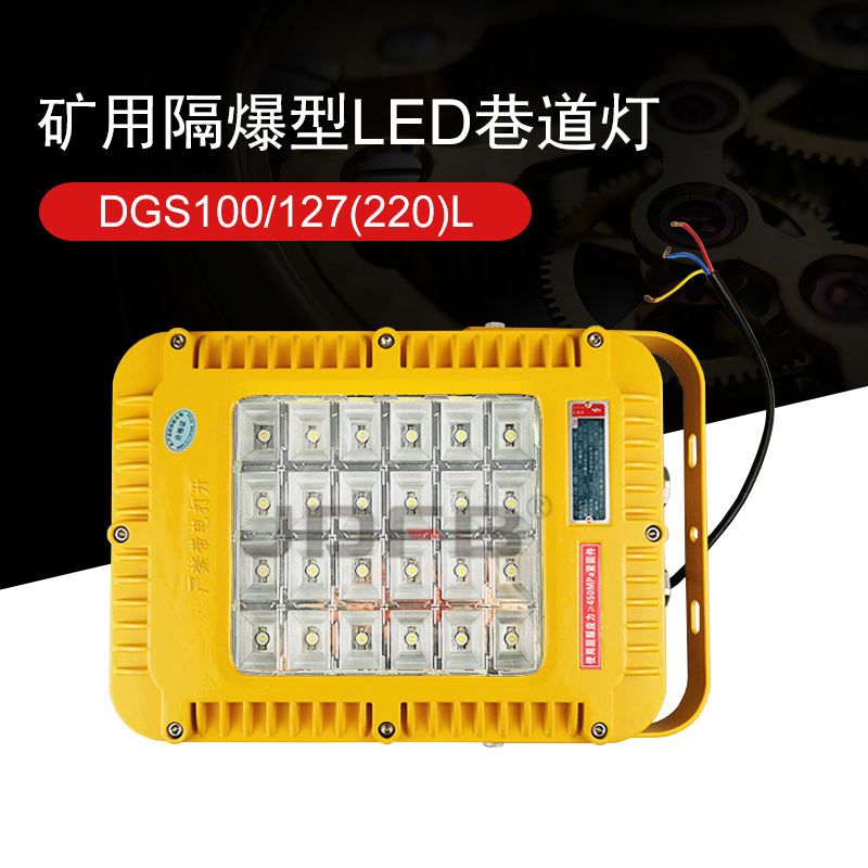 矿用隔爆型LED投光灯:DGS100/127L(A)