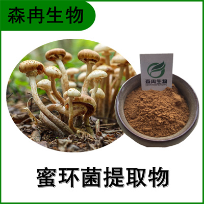 森冉生物 蜜环菌提取物 榛蘑提取物 蜜环菌多糖