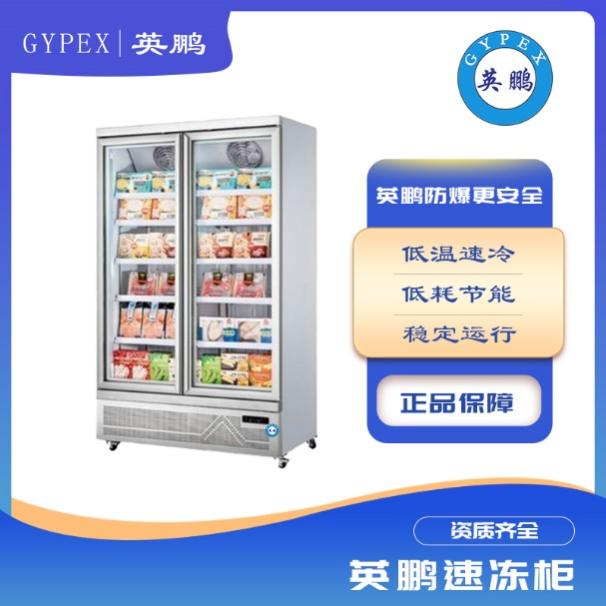 冷冻柜商用冷冻食品展示柜立式冰柜