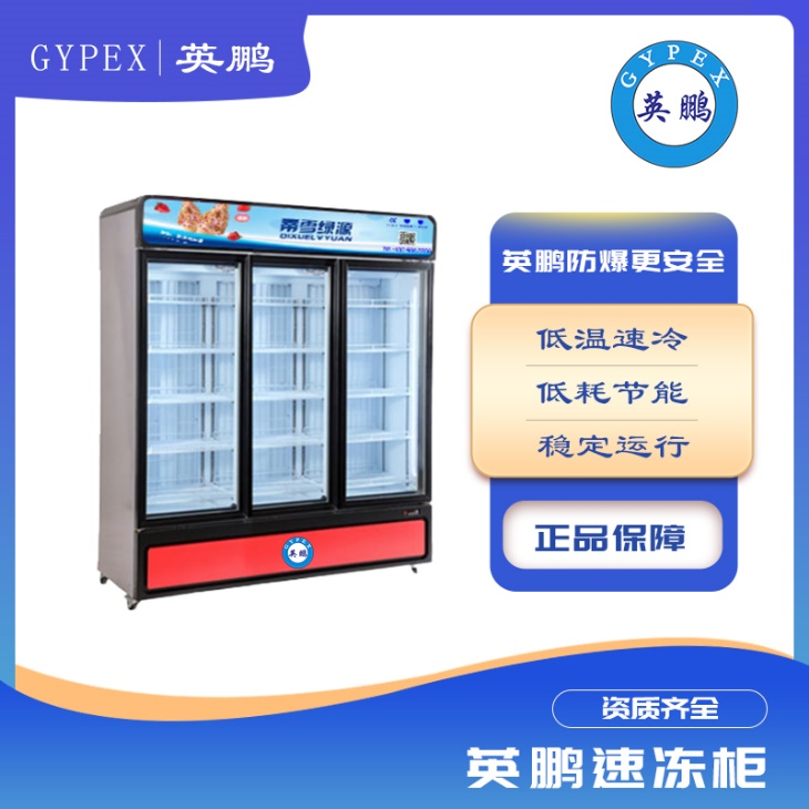 生鲜食品速冻柜立式冰柜商用冰箱冷柜