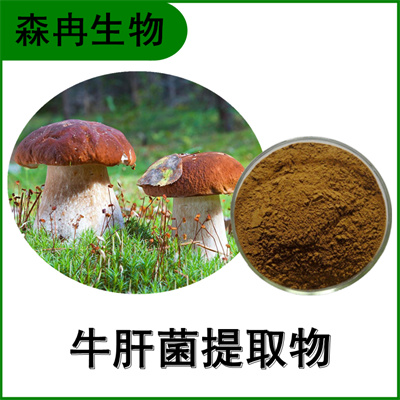 森冉生物  牛肝菌提取物 牛肝菌多糖 比例提取