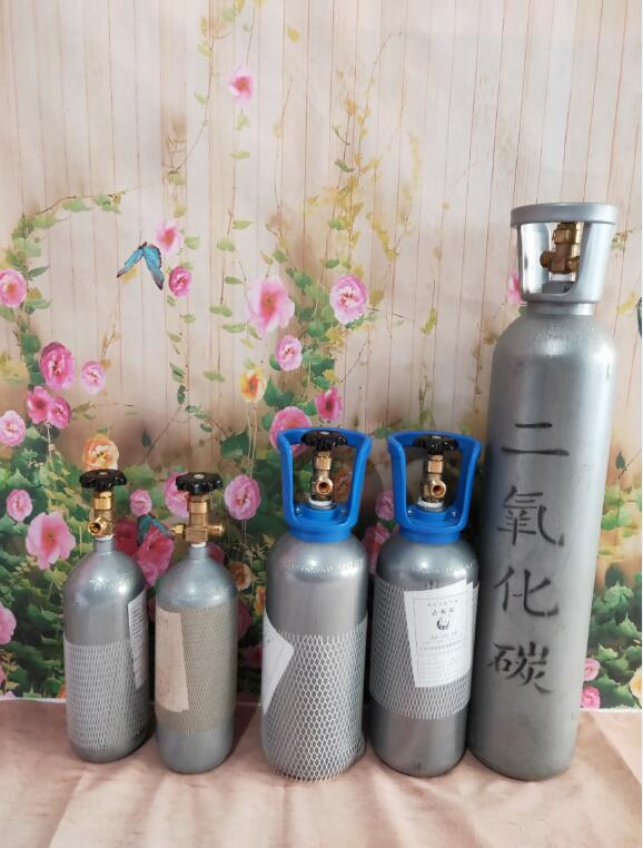 湖州供应高纯二氧化碳干冰液态发酵工业标准气99.999%气泡水填充