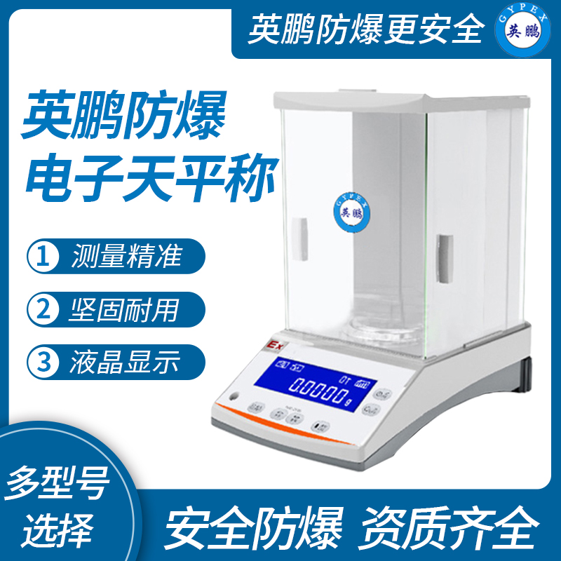 上海高精度防爆电子天平