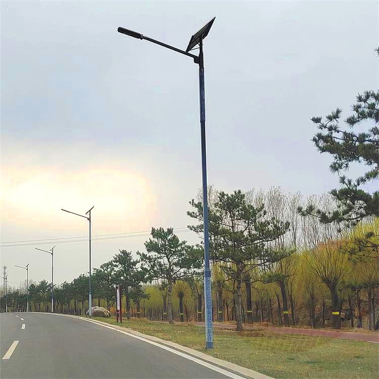 河北路灯太阳能路灯10米路灯厂家