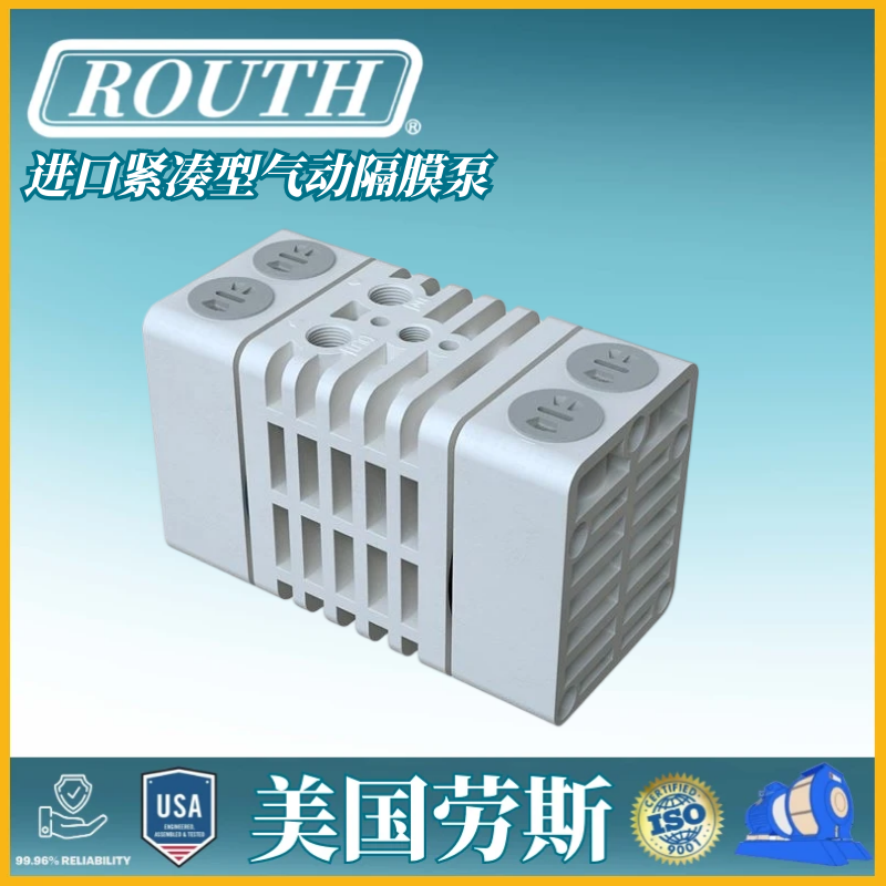 进口紧凑型气动隔膜泵 金属 塑料 液压 qby 机械 防爆 PVDF 美国劳斯ROUTH