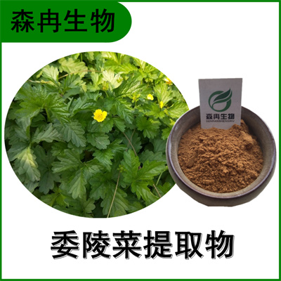 森冉生物 委陵菜提取物 鸡爪草浓缩粉 比例提取