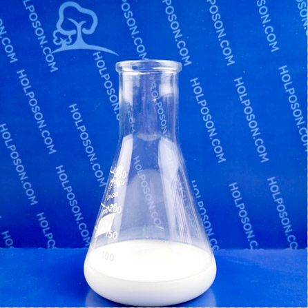 HOLPOSON玻尿酸整理剂 透明质酸保湿加工剂