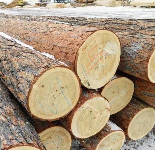 木材进口需要的资质材料