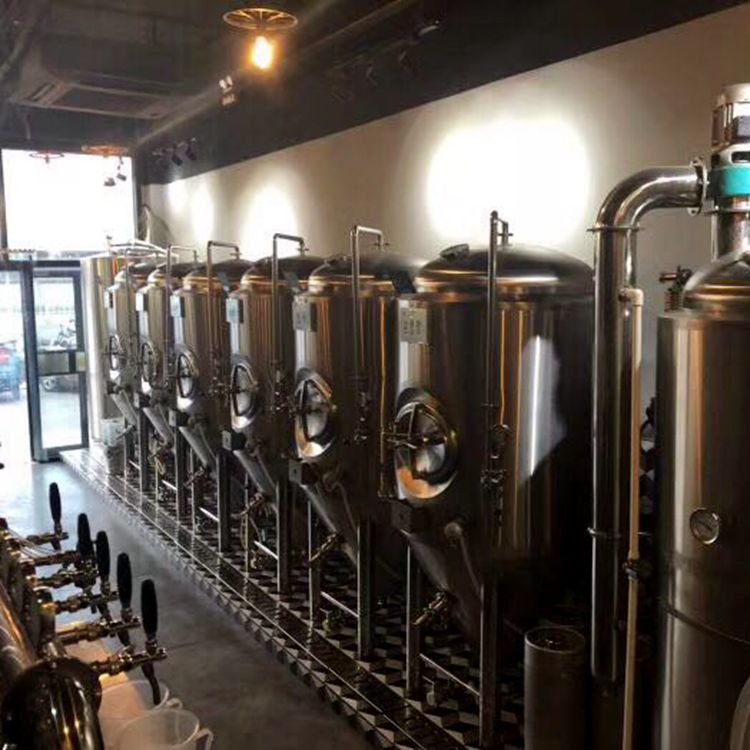 安顺饭店餐饮原浆啤酒生产设备酿啤酒的机器