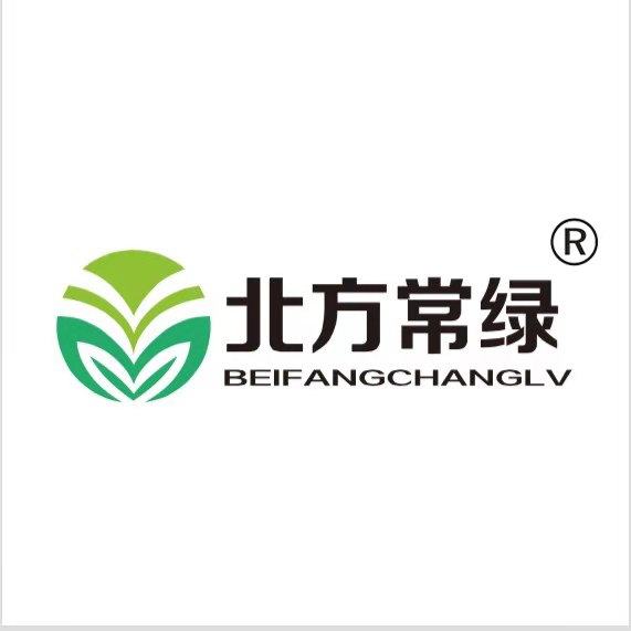 关于金叶佛甲草是什么植物-北京北方长绿分享