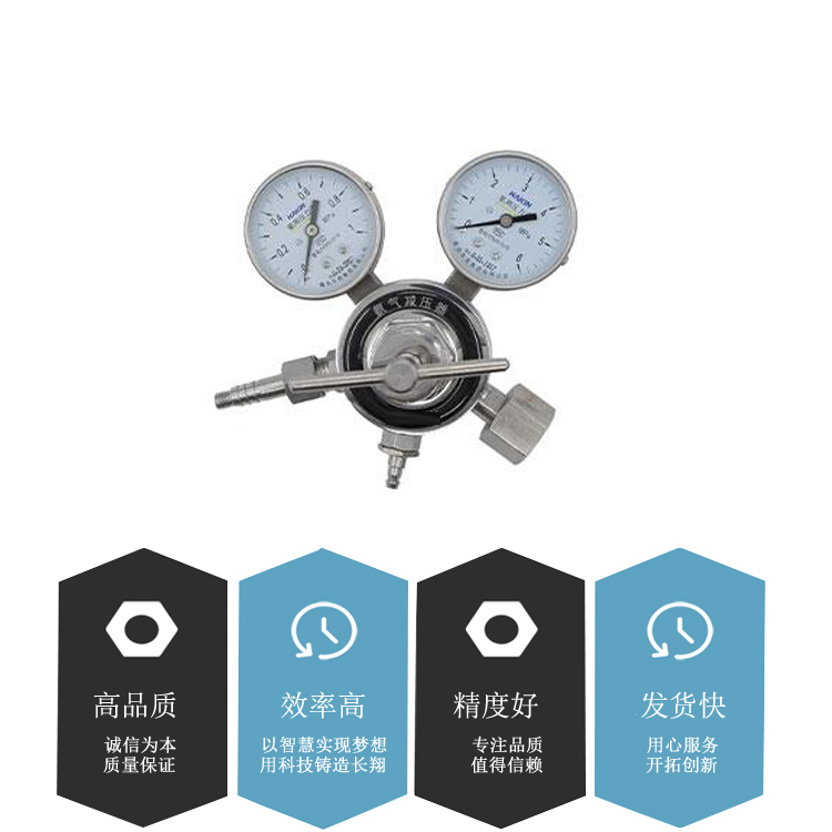 单侧双流量计式氩气减压器 YQAr-731L氩气减压器